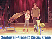 ircus Krone 2014: kommentierte öffentliche Seelöwen-Probe mit Erwin Frankello am 09.02.2014 (©Foto: Martin Schmitz